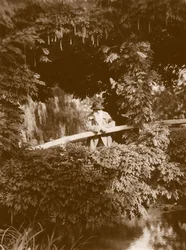 Claude Monet on the Japanese Bridge in his garden at Giverny, c.1920